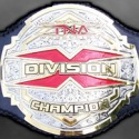 Post Thumbnail of All Hail the New TNA X-Division Champion Austin Aries!!!