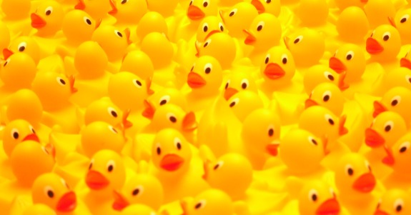 rubber-ducks.jpg