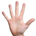Post Thumbnail of What Are Your iPhone 5 and iPhone 4S Predictions?!?